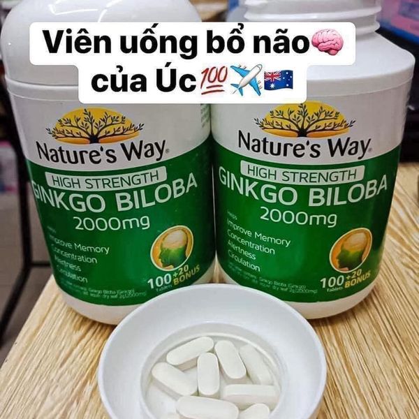 Công dụng Ginkgo Nature's Way