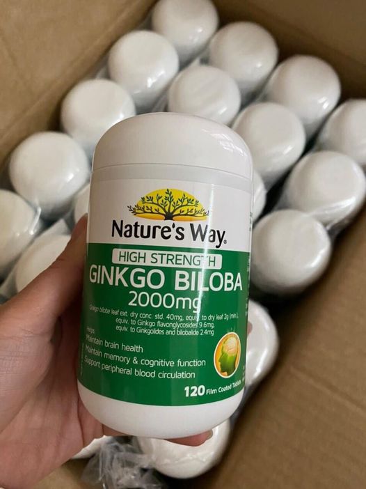 Giới thiệu viên uống bổ não Ginkgo Biloba 2000 Nature's Way