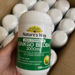 Bổ não Ginkgo Biloba Nature’s Way 2000mg ...