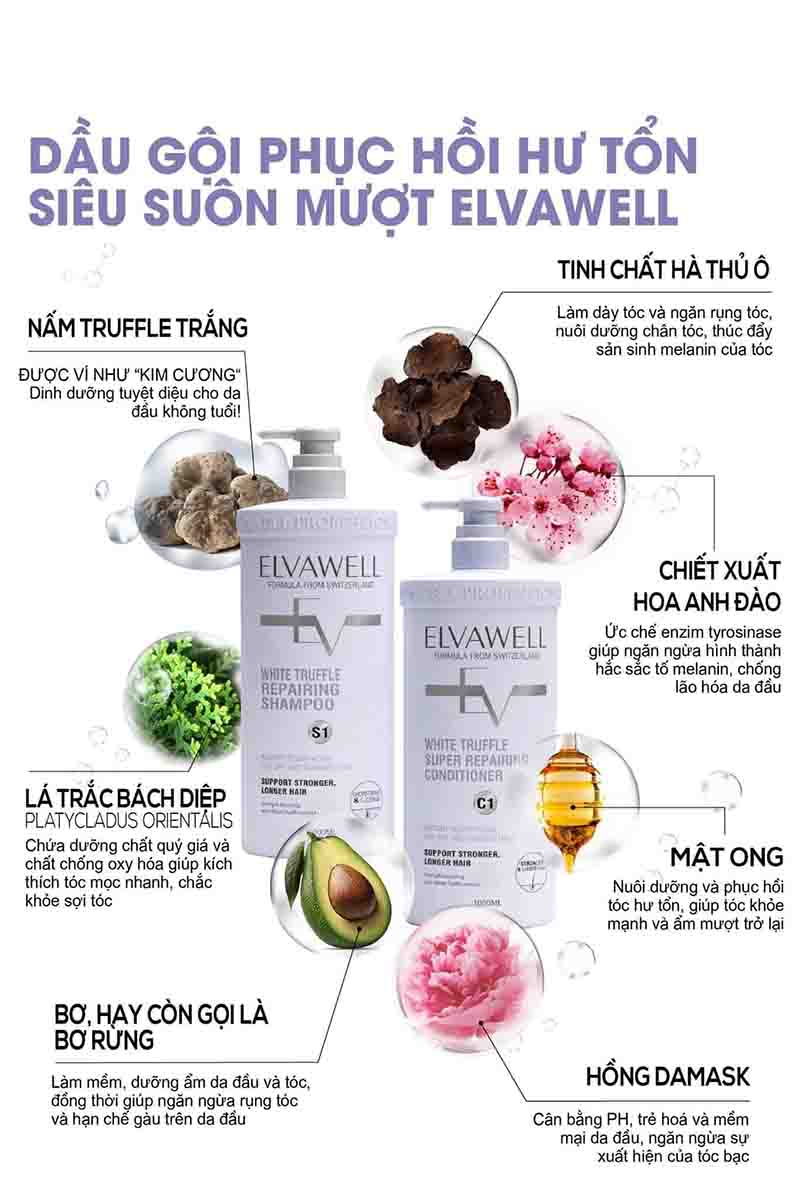 Dầu gội đầu Elvawell tím