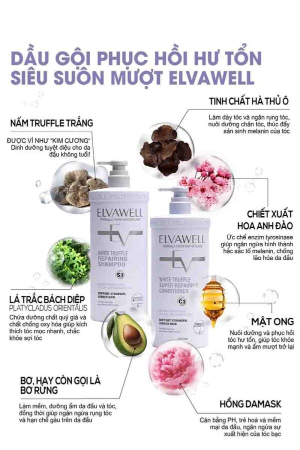 Dầu Gội Elvawell White Truffle Tóc Mềm Mượt Chính Hãng 1000ml - Hình ảnh 5
