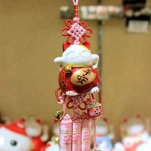 Để mèo thần tài trên xe hơi và trong hành lý