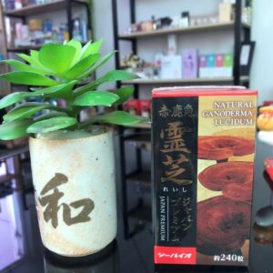 Nấm Linh Chi Sừng Hươu Nhật Bản Deer Hor...