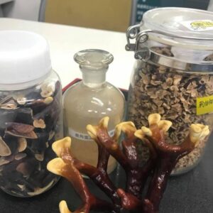 Nấm linh chi sừng hươu Fukujyusen Ribeto 180...
