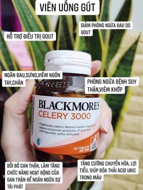 Viên uống hỗ trợ Gout Blackmores Celery 300...