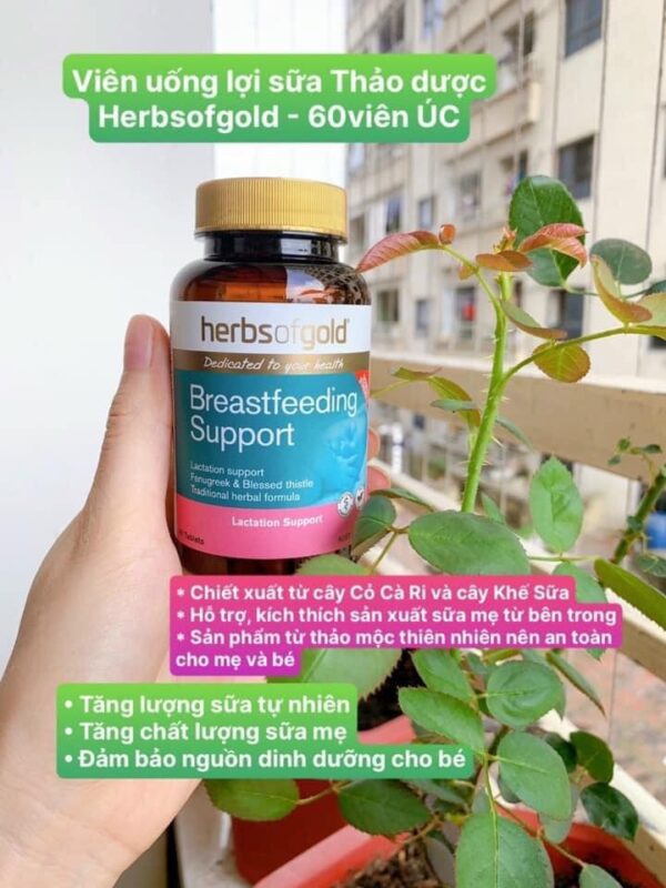 Viên uống lợi sữa Herbs Of Gold Breastfeedi...