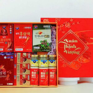 Hộp quà Tết sức khoẻ nhân sâm SK01