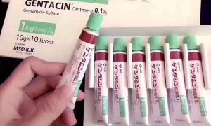 Hướng dẫn sử dụng Gentacin Ointment Gentamicin Sulfate
