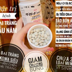 Viên uống hỗ trợ đại tràng Kowa The Gua...