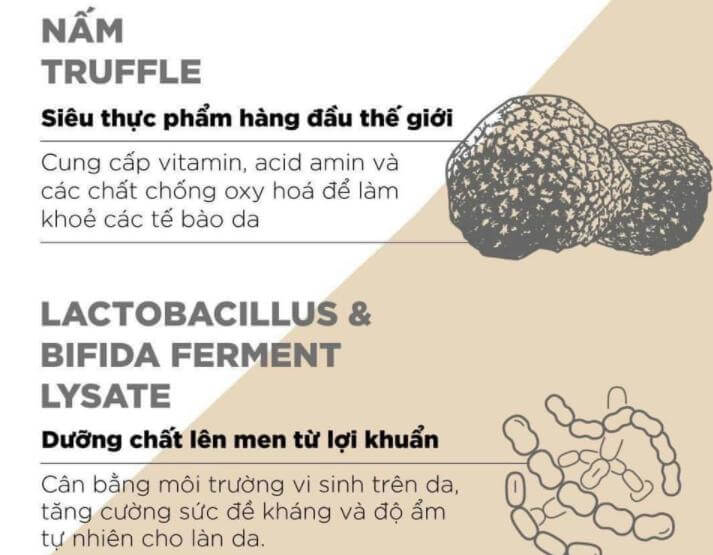 Thành phần của kem đêm Lanci Night Repair