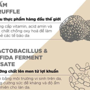 Kem Đêm Lanci Night Repair Probio Cream