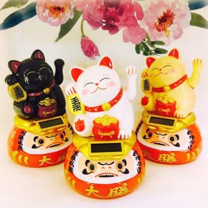 Mèo thần tài Daruma 