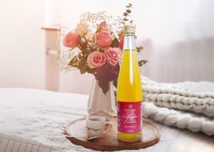 Những ai có thể sử dụng nước uống Hebora Collagen Enrich Japan
