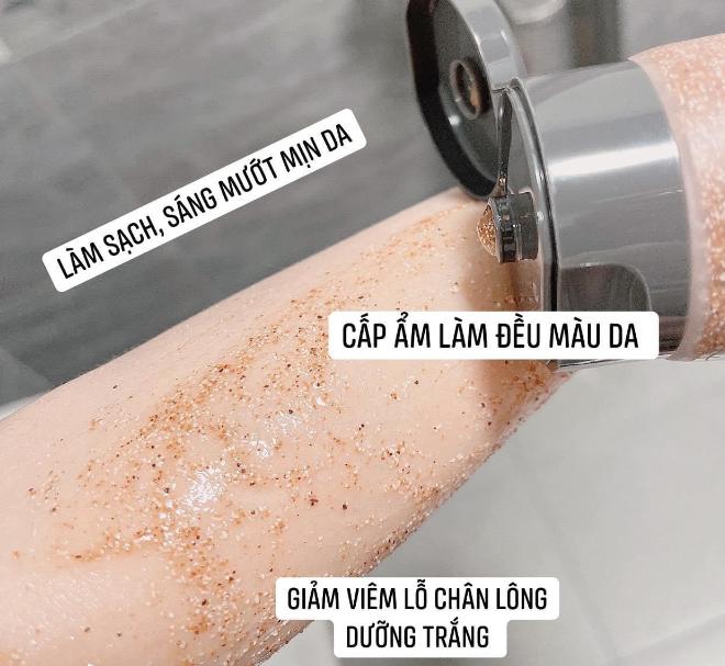 Tẩy Da Chết Primera Body vỏ óc chó