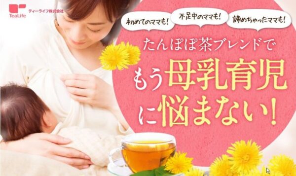 Trà bồ công anh Tanpopo Tea YAMAMOTO Nhật Bản - Hình ảnh 4