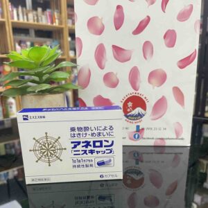 Viên uống hỗ trợ giảm say tàu xe Anerol ...