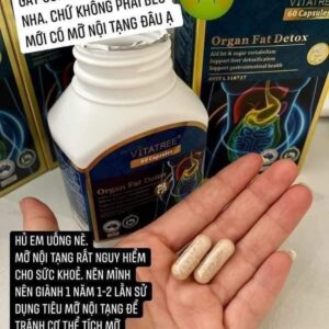 Viênhỗ trợ thải độc mỡ nội tạng Vi...