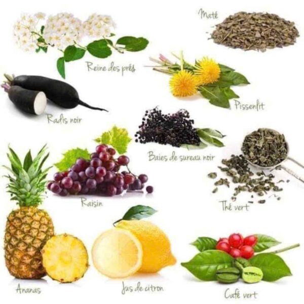 Hỗ trợ thải độc gan Arkopharma Detoxifian...