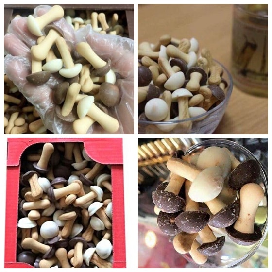 Bánh nấm nga, Bánh quy socola hình nấm của Nga
