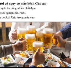 Viên uống The Goutto hỗ trợ Gout
