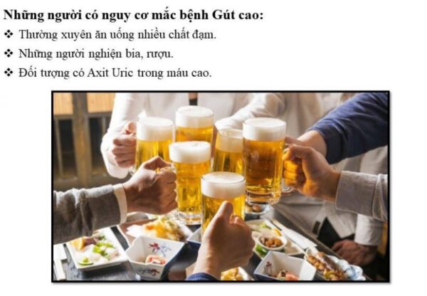 Viên uống The Goutto hỗ trợ Gout