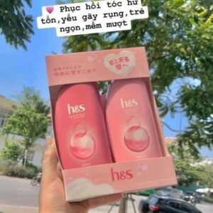 Bộ dầu gội xã H&S Nhật Bản