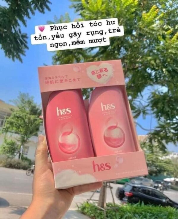 Bộ dầu gội xã H&S Nhật Bản