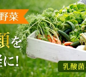 Viên DHC rau củ Perfect Vegetable Premium Nhậ...