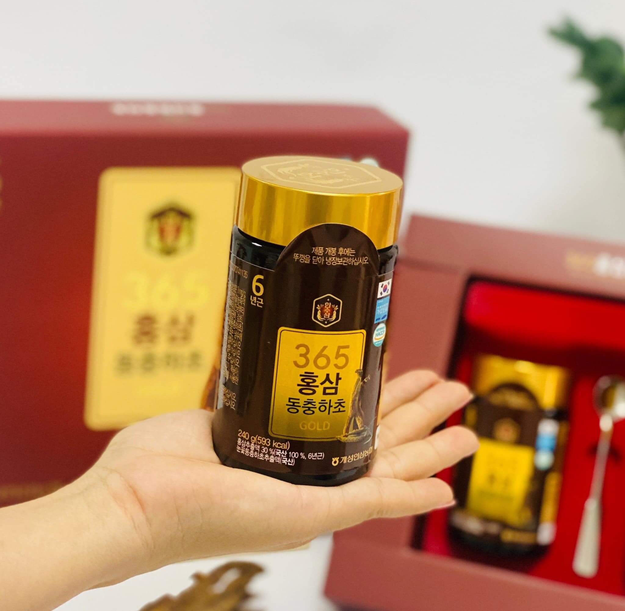 Công dụng cao sâm 365 đông trùng hạ thảo