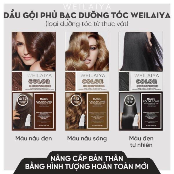 Dầu gội phủ bạc Weilaiya Color 100ml