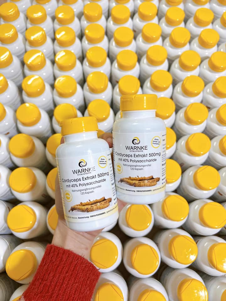 Đông trùng hạ thảo Đức Warnke 500mg có tốt không?