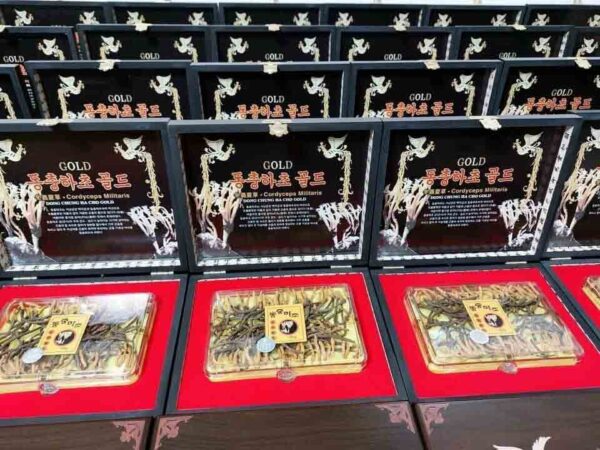 Đông trùng hạ thảo Hàn Quốc hộp gỗ n...