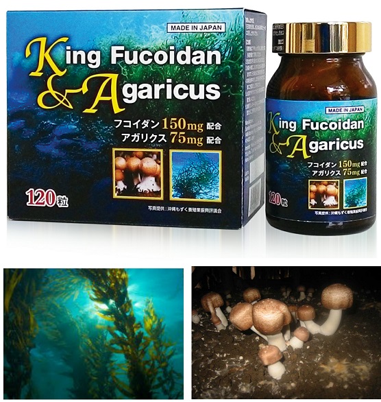 King Fucoidan &amp; Agaricus Nhật Bản là sự phối hợp tuyệt vời giữa Fucoidanvà bột nghiền nấm Agaricus rất giàu vitamin, amino acid, khoáng chất