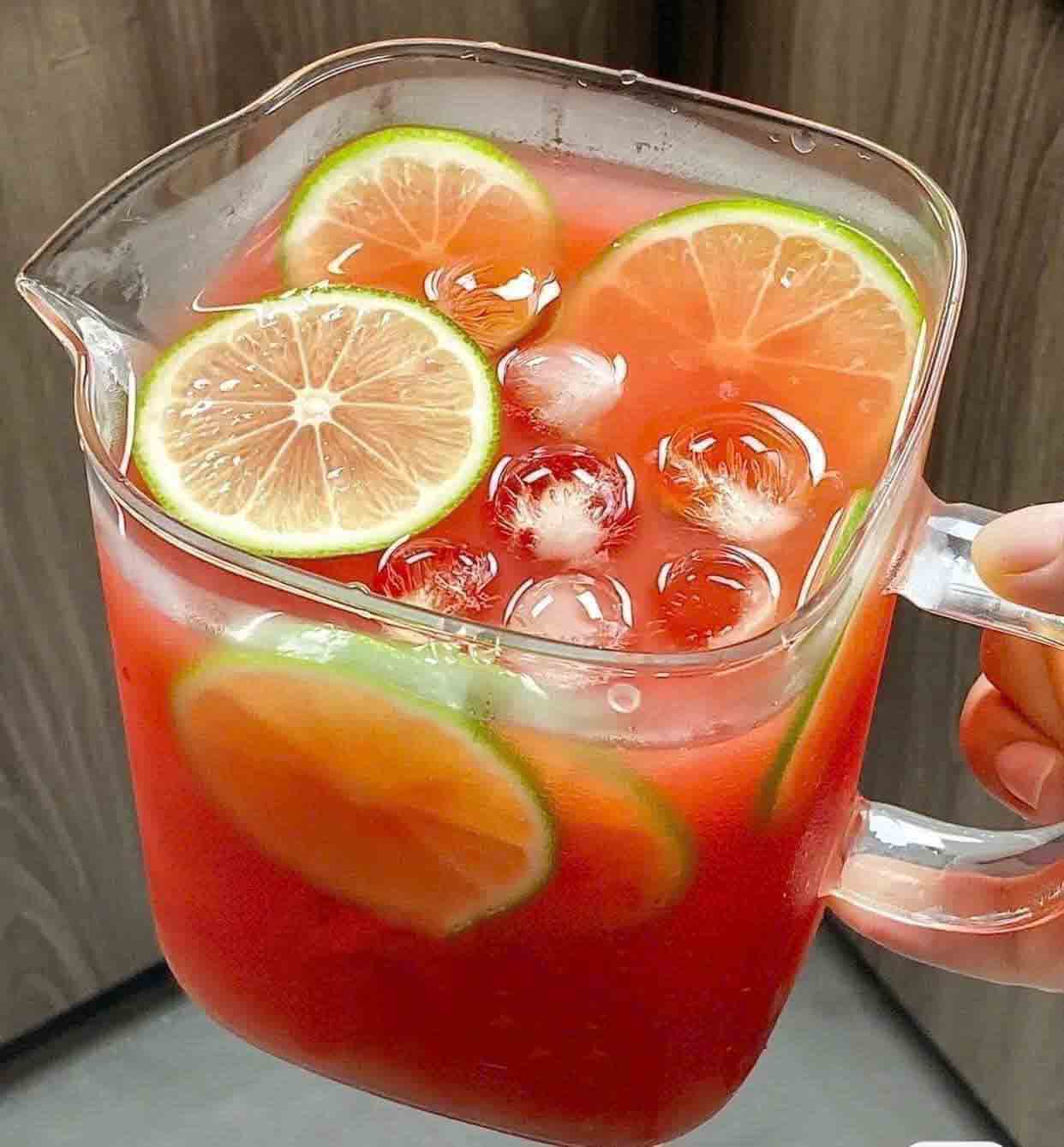 kombucha hàn quốc