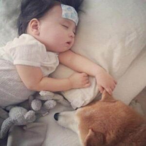 Miếng dán hỗ trợ hạ sốt Pigeon Nhật B...