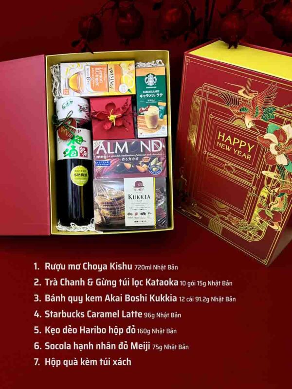 Hộp đựng quà Tết QTBK42