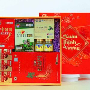 Hộp quà Tết sức khoẻ nhân sâm SK01