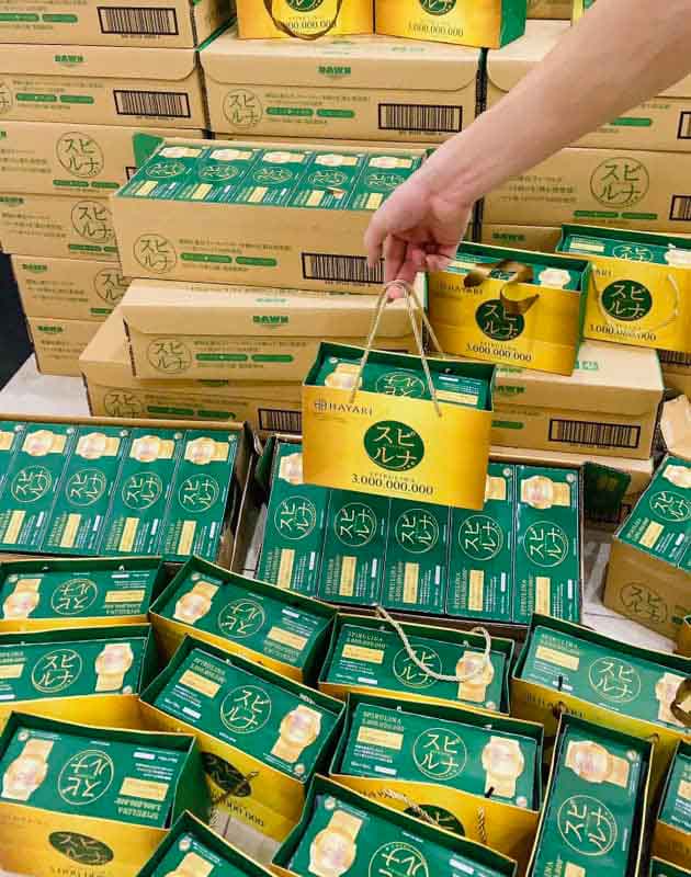 siêu vi tảo nhật bản có tốt không