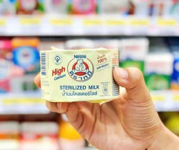 Sữa Gấu Nestle Thái Lan Sterilized Milk lốc...