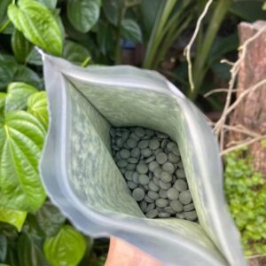 Tảo Canxi Algae Nhật Bản chính hãng dạng...