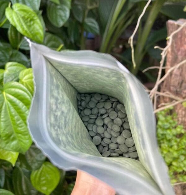 Tảo Canxi Algae Nhật Bản chính hãng dạng...