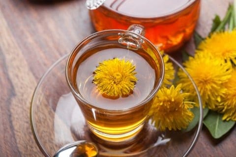 Công dụng tuyệt vời từ trà bồ công anh Nhật bản Tanpopo Tea