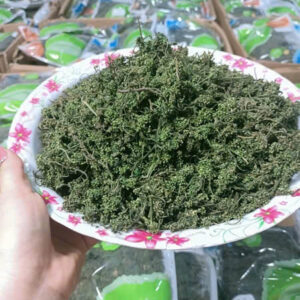 Trà Hoa Sâm GeumSan Ginseng Hàn Quốc Chính H...
