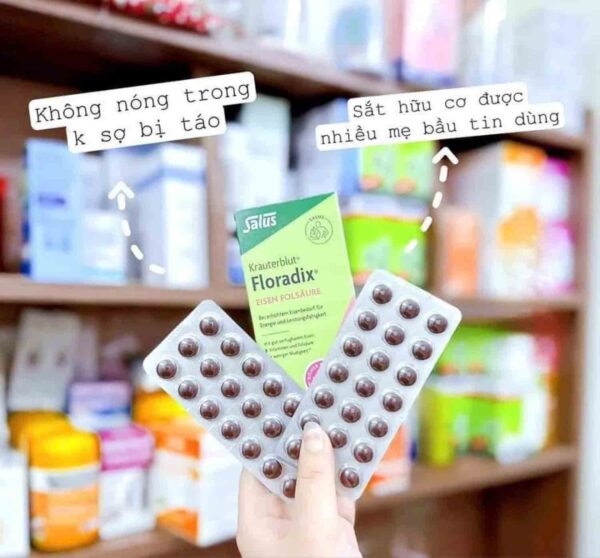 Viên uống bổ sung sắt Floradix Kindervital ...